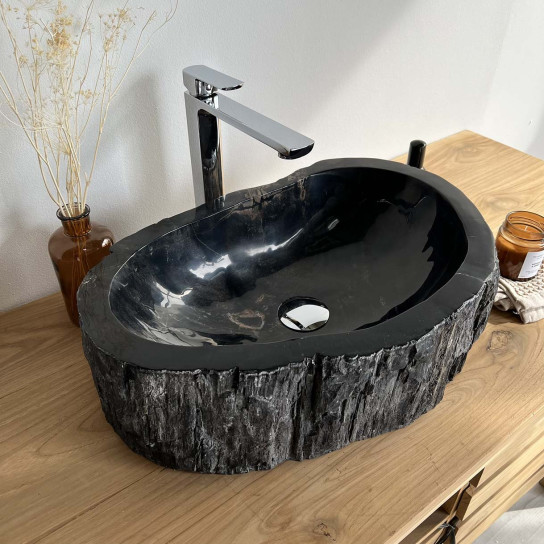 Black petrified petrified wood countertop bathroom sink