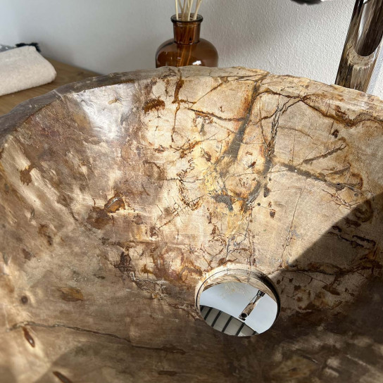Brown petrified fossil wood countertop bathroom sink