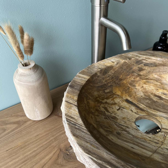 Brown petrified wood countertop bathroom sink