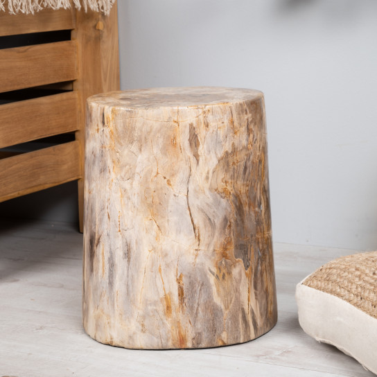 Fossil wood stool