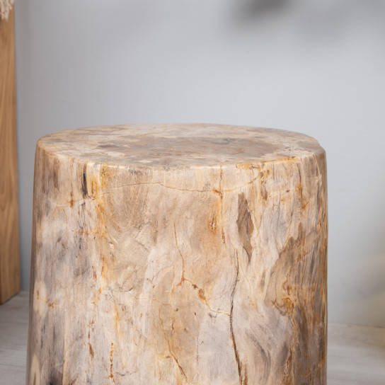 Fossil wood stool