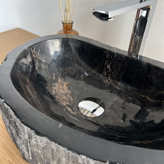 Petrified fossil wood bathroom sink black