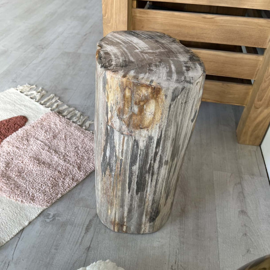 Petrified wood pouffe