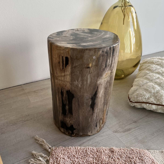 Petrified wood pouffe stool