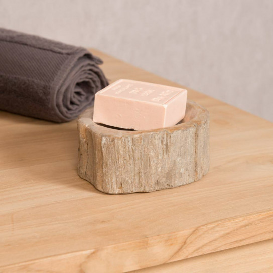 Petrified wood soap holder