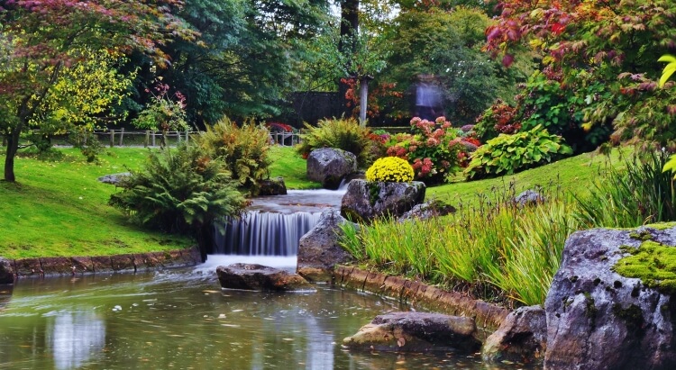 Waterfall in a Japanese garden